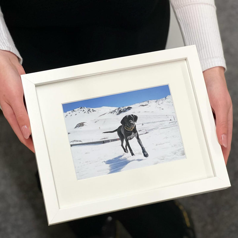 Frame & Print