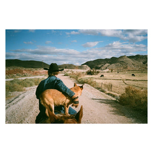 Fujifilm 400 36exp