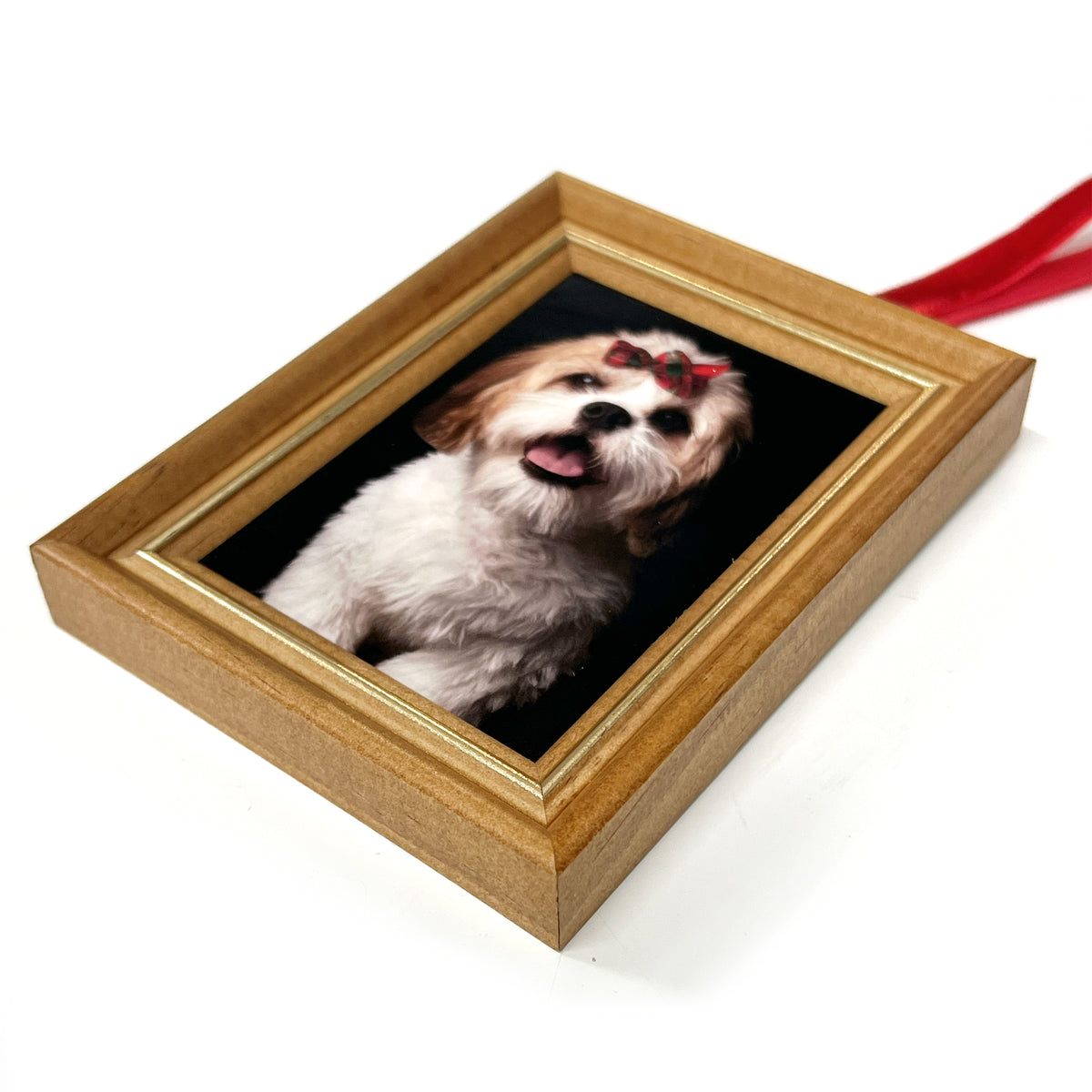 Christmas Tree Ornament Frame