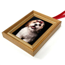 Christmas Tree Ornament Frame