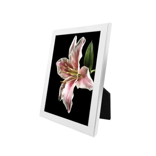 Eternal White Frame & Print