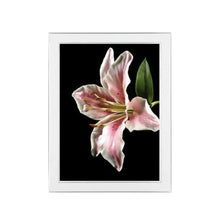 Eternal White Frame & Print