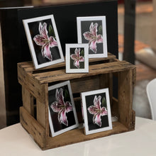 Eternal White Frame