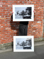 Violet - Frame, Mat Board & Print