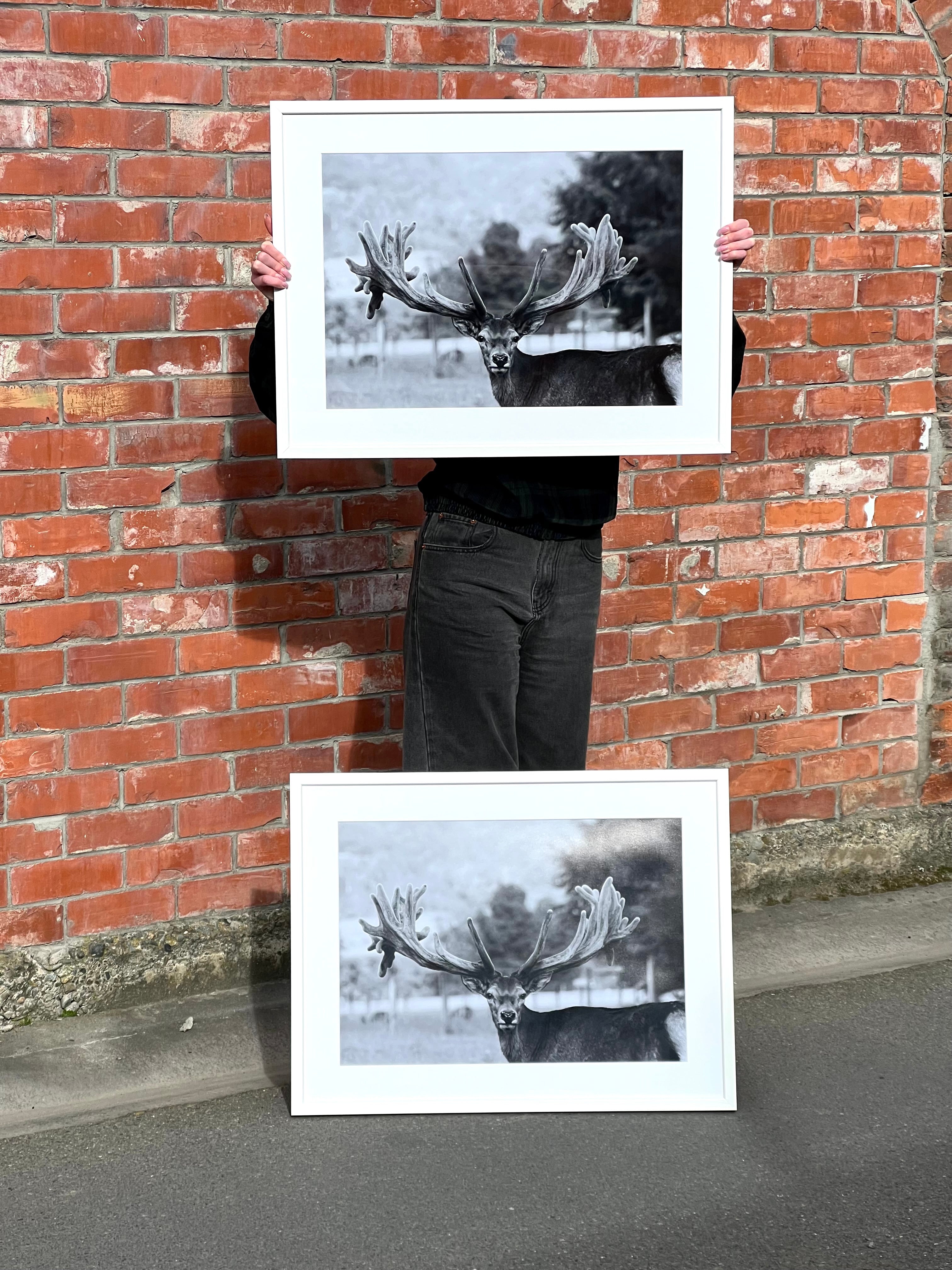 Violet - Frame, Mat Board & Print