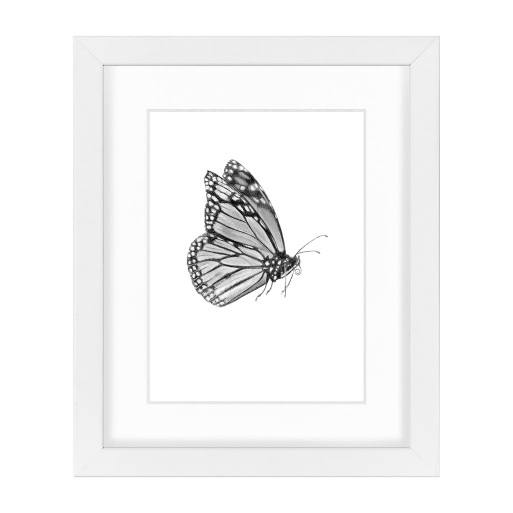 Monarch