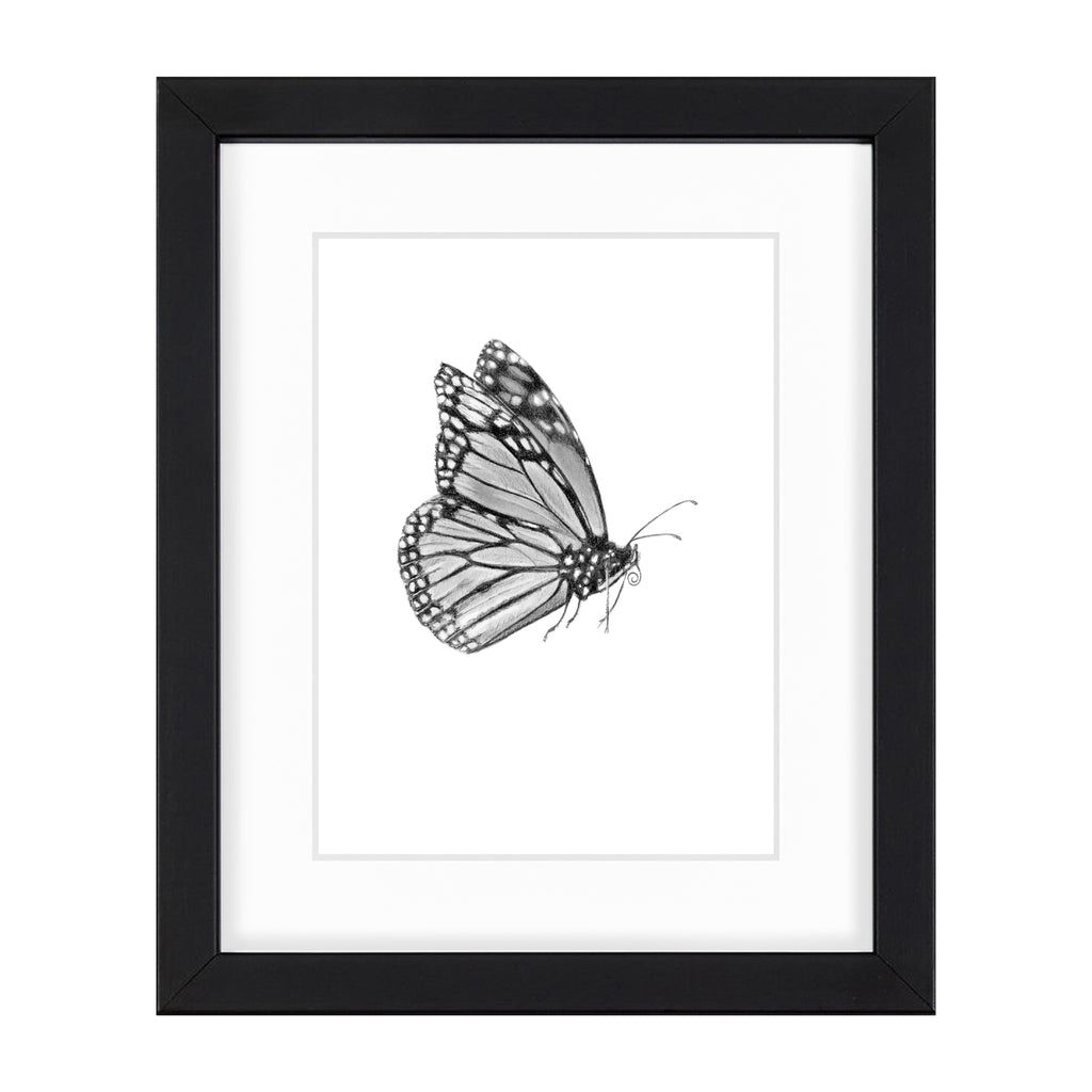 Monarch