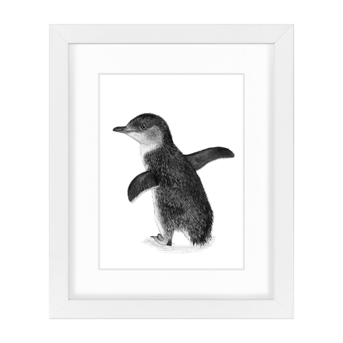 Blue Penguin