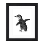 Blue Penguin