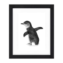 Blue Penguin