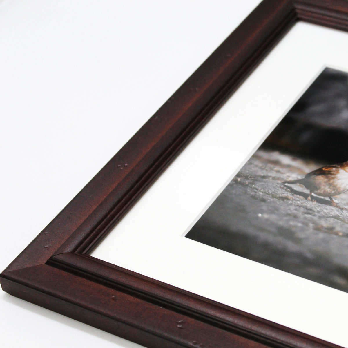 Rachael - Frame & Mat Board
