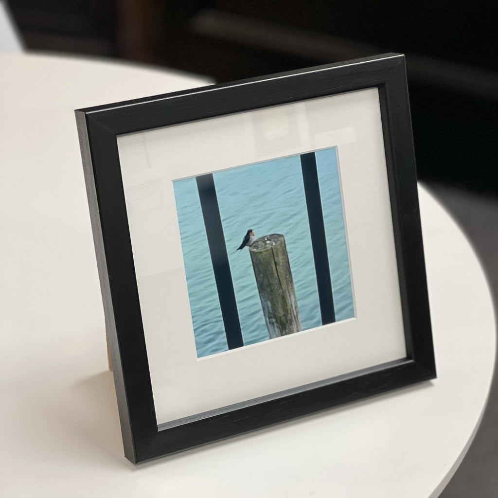 Violet - Square Frame, Mat Board & Print