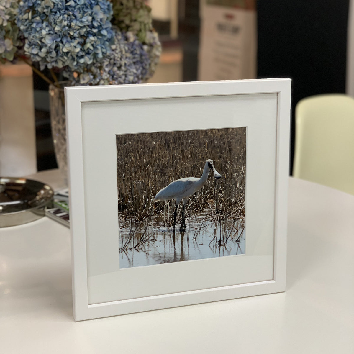 Violet - Square Frame, Mat Board & Print