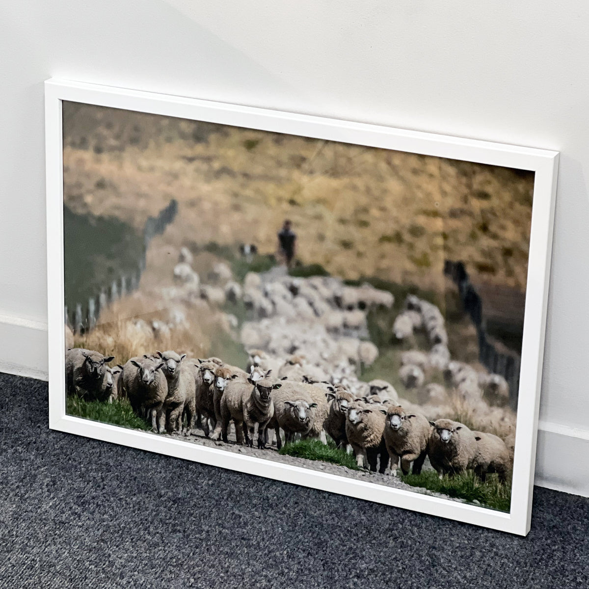Violet - Frame & Print