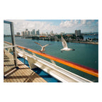Kodak Gold 200 3-Pack (24exp)