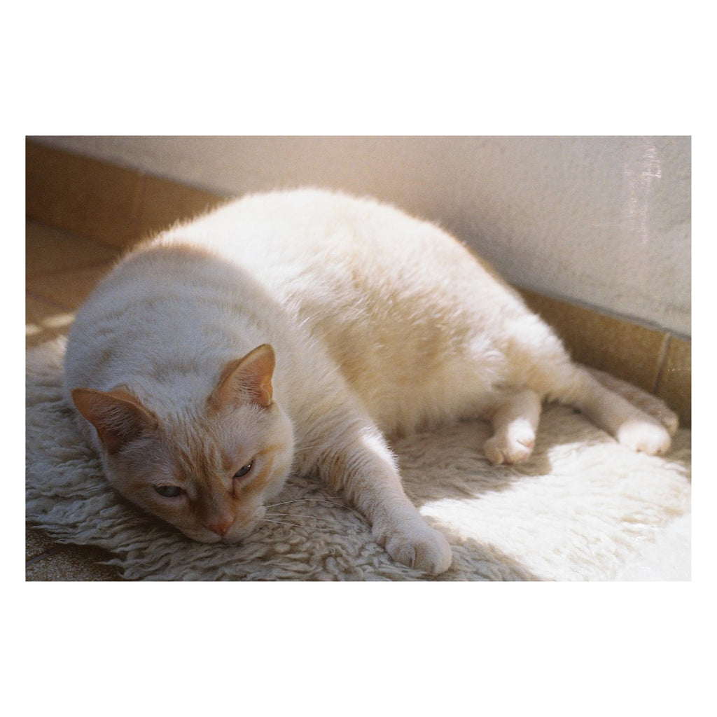 Kodak UltraMax 400