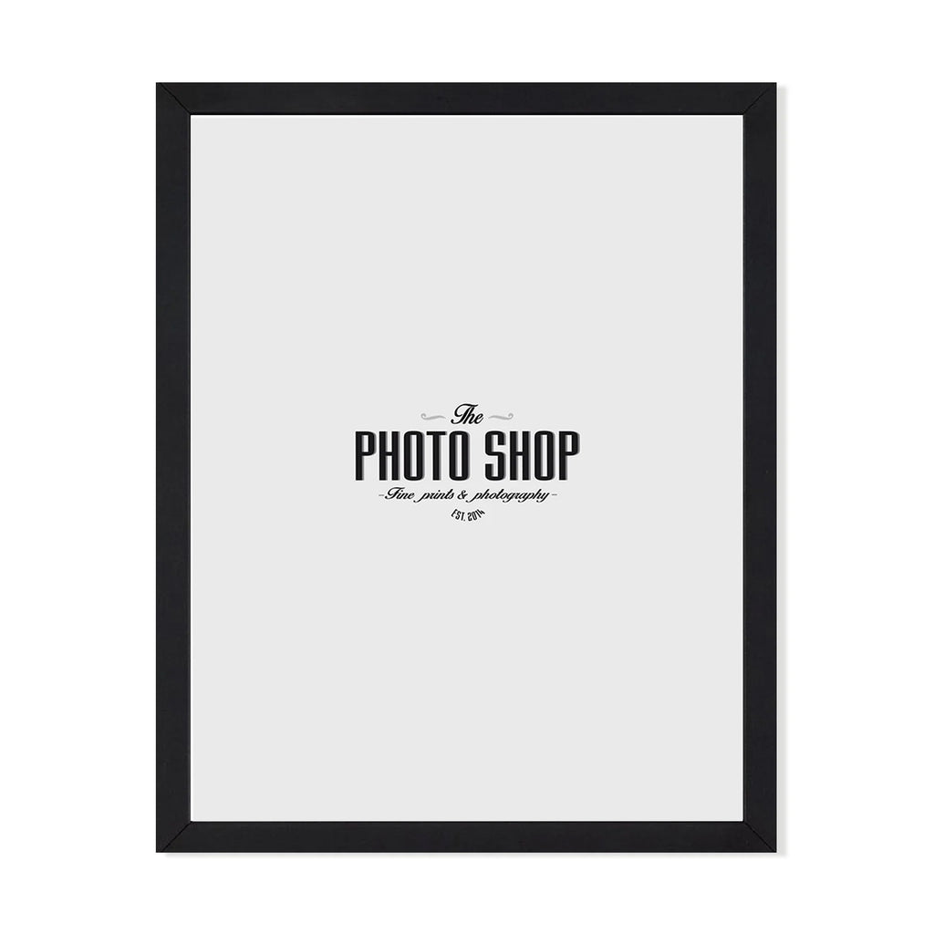 Violet - Frame
