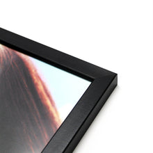 Violet - Frame & Print