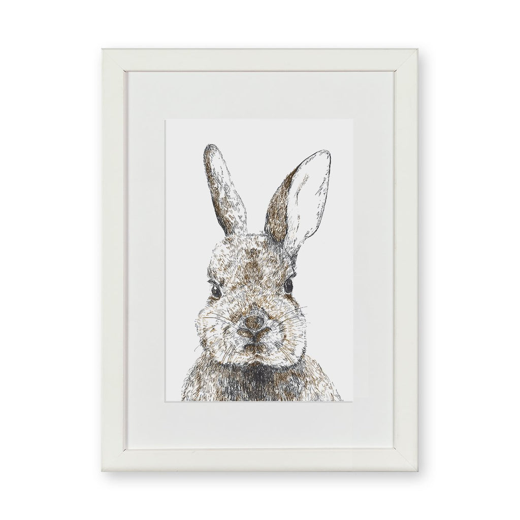 Bunny