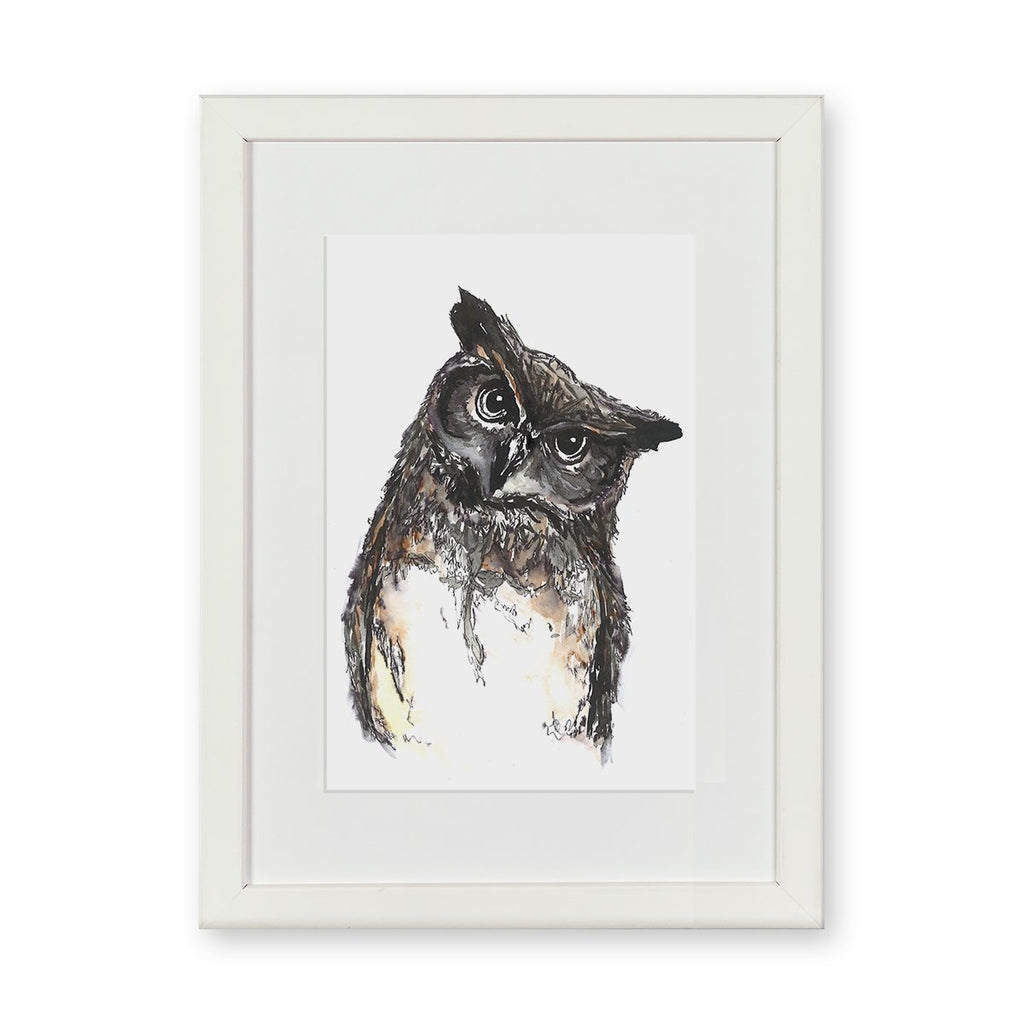 Owl