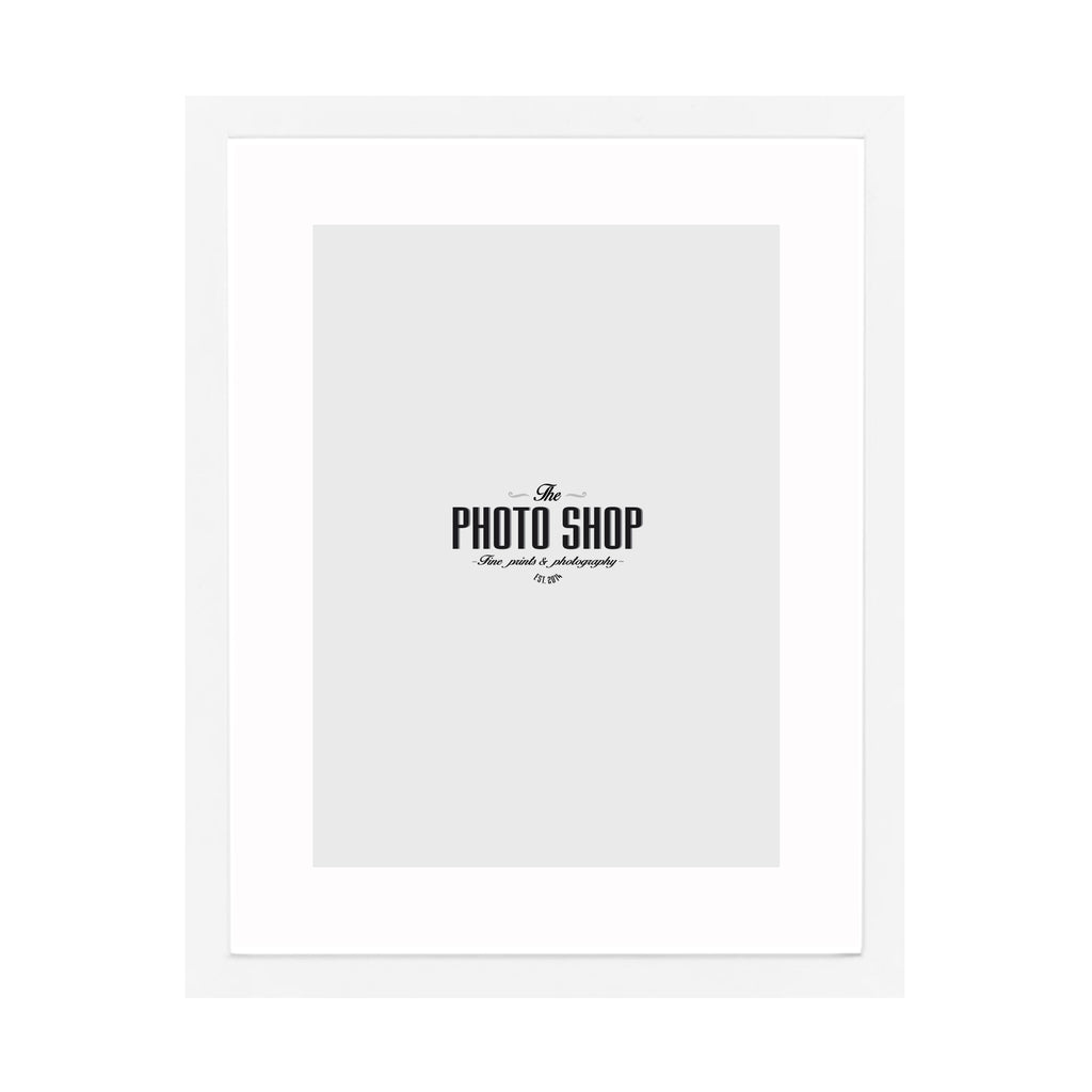 Violet - Frame & Mat Board